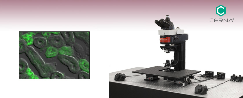 Cerna® Mini Microscopes