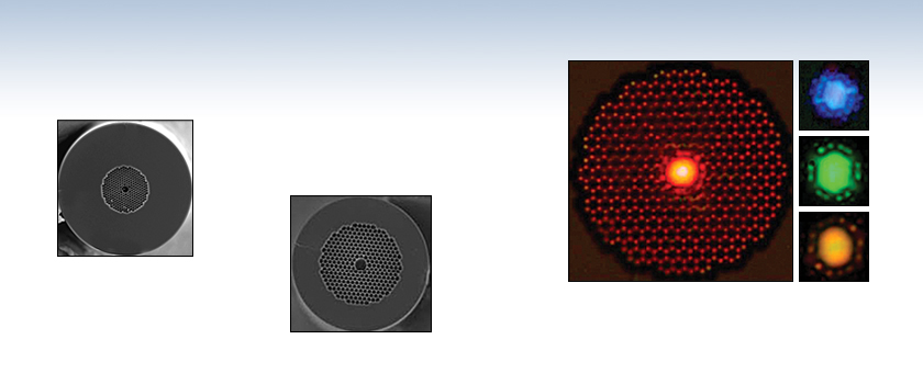 Hollow Core Photonic Crystal Fibers