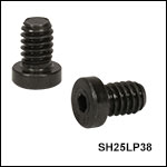 T-Nuts and Screws for 25 mm, 50 mm, & 75 mm Rails