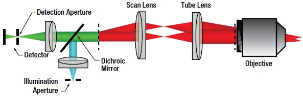 Confocal microscope imaging improved with beam shaping – Precision Laser  Scanning