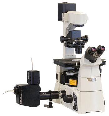 Confocal Microscopy Upgrade