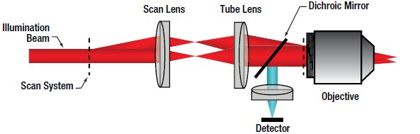 Confocal microscope imaging improved with beam shaping – Precision Laser  Scanning