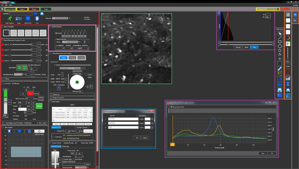 ThorImageLS Application Workspace