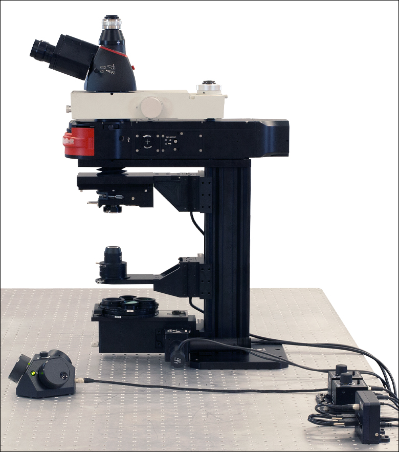 Cerna® Microscope for Epi-Fluorescence and DIC in the Visible and NIR