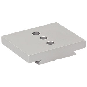 XT66D2-50 - Mounting Platform for 66 mm Rails, Three 1/4in (M6) Counterbores, 50 mm Long