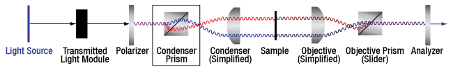 DIC Optical Schematic