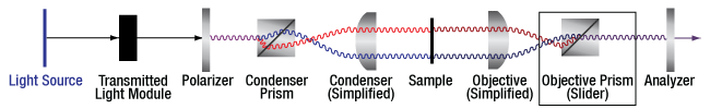 DIC Optical Schematic