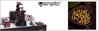 Veneto® Inverted Microscopes