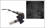 Miniature Two-Photon Microscope